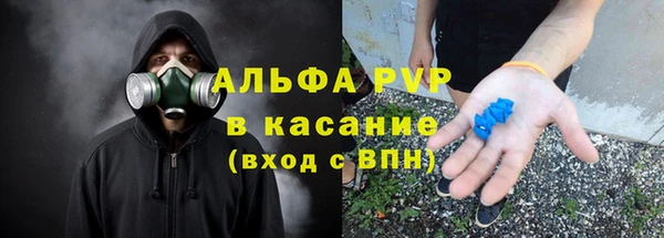 прущие грибы Алексин