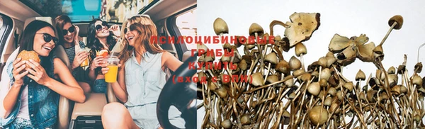 прущие грибы Алексеевка