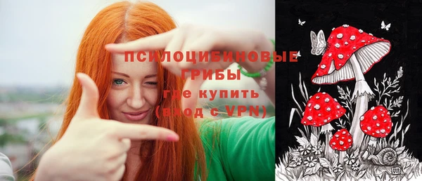 мяу мяу мука Рославль