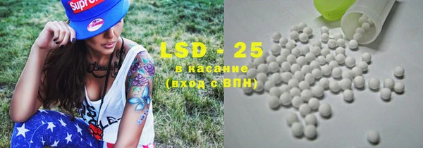 прущие грибы Алексин